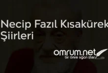 Canım İstanbul - Necip Fazıl Kısakürek Şiirleri