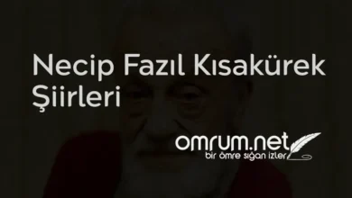Canım İstanbul - Necip Fazıl Kısakürek Şiirleri